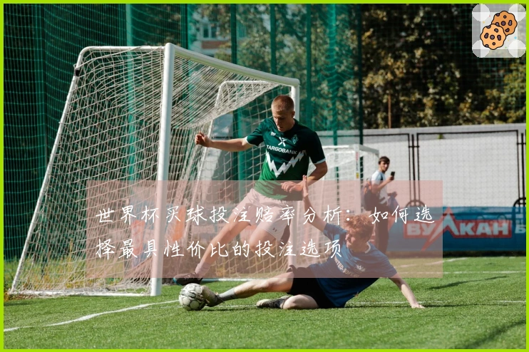 世界杯买球投注赔率分析：如何选择最具性价比的投注选项